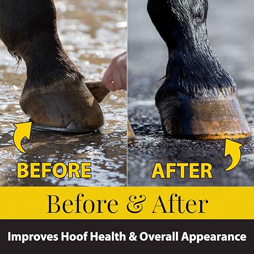 Fiebing's Hoof Oil for Horses With Mineral Oil (32 oz) - Hoof Dressing With Applicator Brush to Condition Dry, Split Hooves & Corns - Prevents Cracks, Splits & Contracted Feet with Semi Gloss Finish
