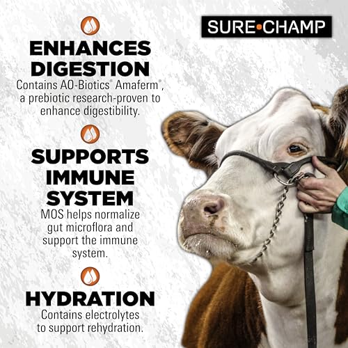 SURE CHAMP® Clench Gel, 30ml