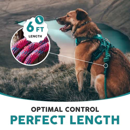Embark Dog Leash - Heavy Duty Tough Nylon Training Lead for All Dog Breeds | Mountain Climbing Rope with Heavy Duty Locking Carabiner - Strong & Durable Nylon Pet Leash - 6 FT - Pink - color: Pink