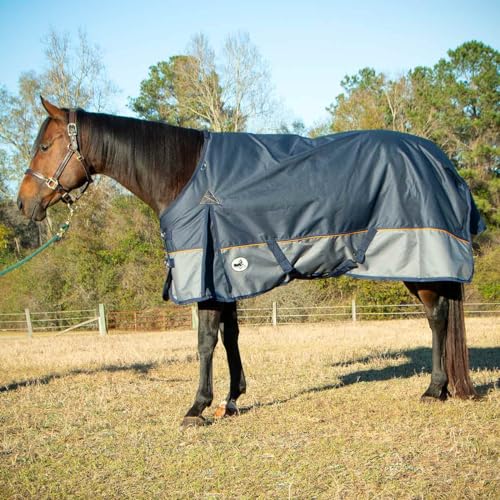 Jeffers Economy Plus Turnout Blanket with Standard Neck for Horses – 1200 Denier Waterproof Shell, 240g Polyfill Insulation - Breathable Weatherproof & Warm Equine Blankets, Navy & Gray – 87 inches - size: 87"