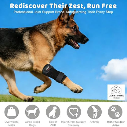 Pet Hind Leg Support Brace, Black, Size XL, Joint Protection for Senior Dogs and Cats with Weakness - size: XL