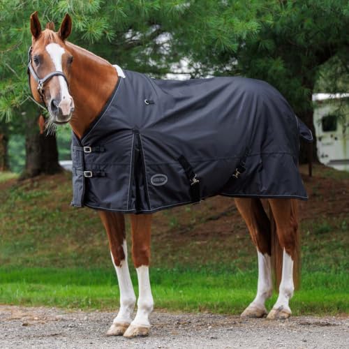 Glacier 600D Midweight Turnout Blanket (82, Black) - size: 82
