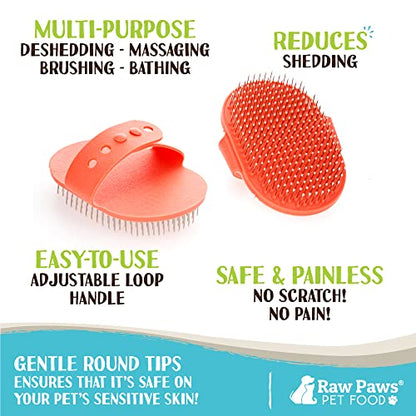 Raw Paws Hand-Held Grooming Pin Brush for Dogs & Cats - Rubber Tipped | Rubber Cat Brush - Pet Grooming Tool - Massage Curry - For Small & Large Dogs, Small Pets & Horses - Long & Short Hair