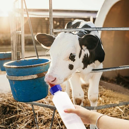 2PCS 500ml Calf Nursing Feeder Bottles with Screw Silicone Nipple | Leak-Proof Detachable Easy Clean Food Grade Calf Bottle, Farm Animal Milk Feeder for Calf Lamb Goat Sheep Newborn Livestock