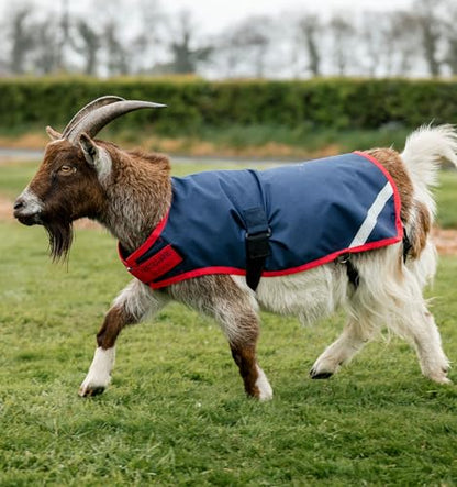 Horseware® Goat Coat 0g - Navy/Red, S - size: S