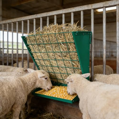 Wall Mount Hay Feeder, 2 in 1 Hay & Grain Livestock Feeder - color: Green