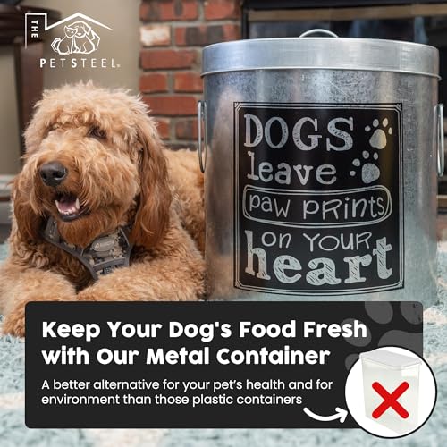 Silver Large Rustic Up to 50lb Pet Food Storage Container. Farmhouse and Rustic Look. Large Canister with Scoop. No More Plastic Containers