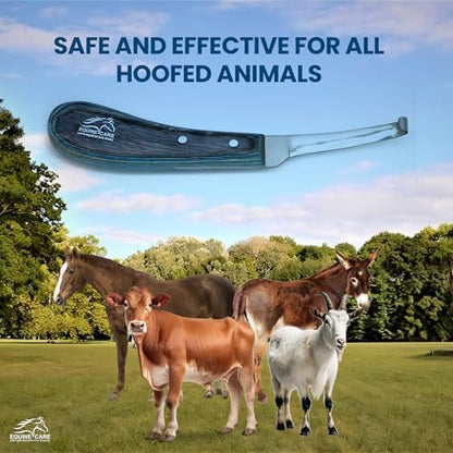 Equine Care Left-Handed Narrow Farrier Hoof Knife, Horses, Ponies, Minis | Narrow hoof knife for detail trimming; J2 stainless steel blade; smooth blue layered handle; right- or left-handed - style: Left-Handed