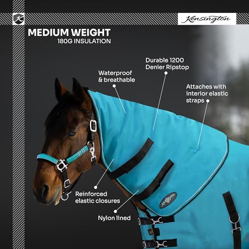 Kensington All Around Signature Weight Neck Warmer 180G (Small, Deluxe Black) - color: Black, size: Small