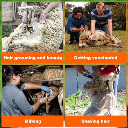 Heavy Duty Sheep Trimming Stand with Ramp - Adjustable Livestock Grooming & Milking Stand for Goat, Sheep Shearing and Milking Frame