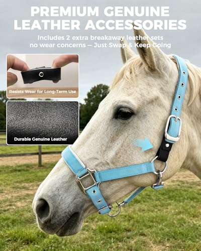 Hilltown Breakaway Halters for Horses with Leather Fuse | Adjustable Fit, Soft Rubber Padding, Quick Release Snap, and Easy Clean Webbing for Training and Stable Use - size: X-Full