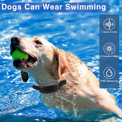 Basic In-Ground Pet Fence - Underground 2 Dog Fence System, Electric Fence for Dogs Waterproof Training 2 Collars for Dog Over 20lb, Wireless Electric Dog Fence System (2 Dog System)