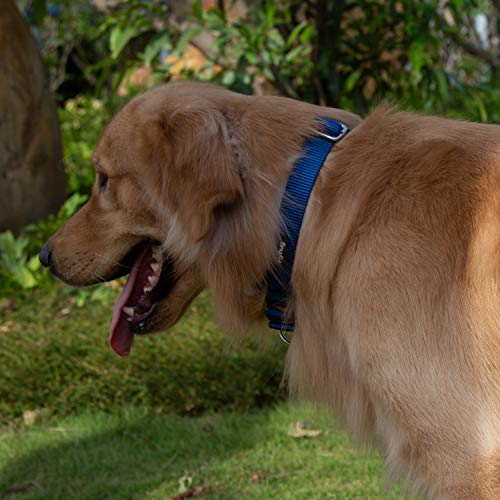 Hyhug Martingale Collar for Dogs Small Blue |Escape - Proof Heavy Duty Nylon Durable No Buckle, Ideal for Training & Daily Walks | Heavy-duty nylon delivers gentle control for puppies. Ideal for training and park walks. Adjustable, comfortable, and secure