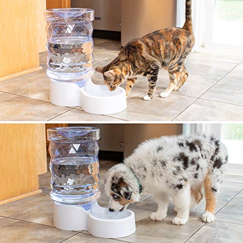 PetFusion H2O Gravity Pet Water Dispenser, 2.5 Gallon, Transparent