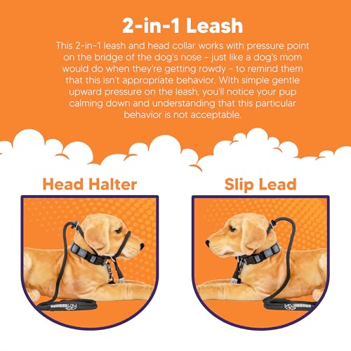 Heather's Heroes The Sidekick No-Pull Leash Black - color: Black, size: Mini (1/4")