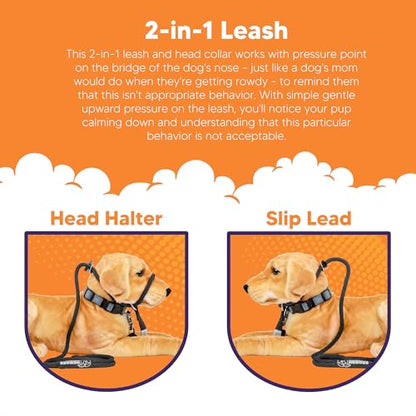 Heather's Heroes The Sidekick No-Pull Leash Black - color: Black, size: Mini (1/4")