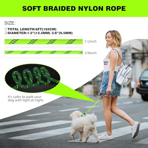 lynxking Dog Leash1/2in x 6ft Slip Lead Reflective Green and red, 2 Pack