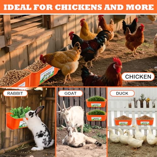 5 Pack Chicken Feeder, Duck Feeder Supplies, Hanging Fence Feed Trough with Clips for Goat, Sheeple, Piglet, Gooses, Turkeys, Dog Livestock Poultry, 8 Quarts in Total, Feed Scoop Included, Orange - color: Orange 5pcs