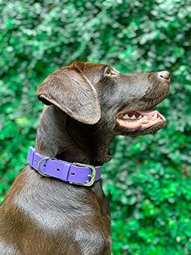 Tuff Pupper Heavy Duty Waterproof Dog Collar for Small, Medium & Large Dogs - color: Royal Purple