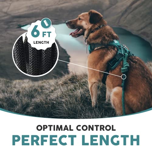 Embark Dog Leash - Heavy Duty Tough Nylon Training Lead for All Dog Breeds | Mountain Climbing Rope with Heavy Duty Locking Carabiner - Strong & Durable Nylon Pet Leash - 6 FT - Black - color: Black