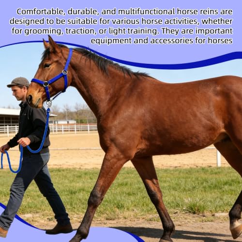 Adjustable Nylon Horse Halter & Matching Lead Set for Horses - color: BLUE