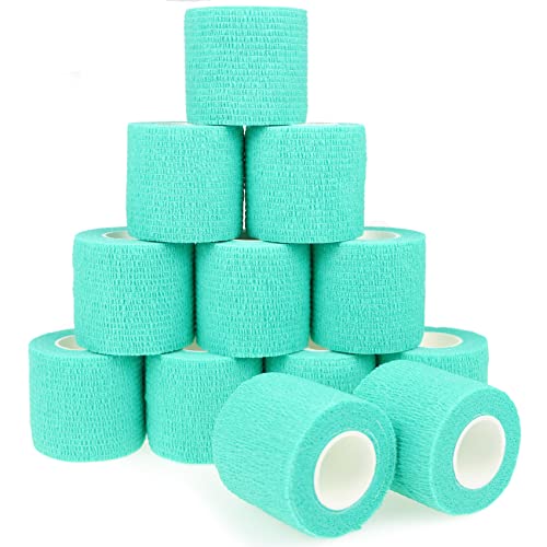 Self Adhesive Bandage Wrap Animal Cohesive Bandage Self Adherent Wrap First Aid Tape for Dogs Cats Horses Birds & Wrist Healing Ankle Sprain (2 Inch Green 12 Rolls) - color: 2 Inch Green 12 Rolls