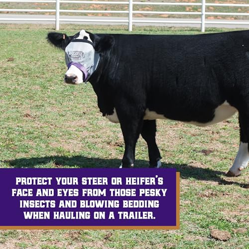 Weaver Livestock Cattle Fly Mask, Adjustable Mesh-Covered Cow Mask, Protective Herd Gear for Trailer Use, Gray/Purple, One Size Fits Most Cattle