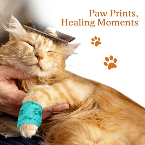 Self-Adhesive Bandage Wrap for Wrist, Ankle & Finger First Aid/Vet - color: Azure Tides, size: 6 Count (Pack of 1)