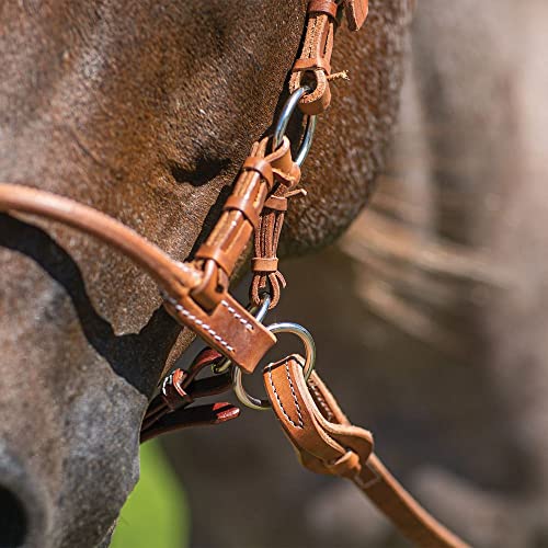 Schneiders Rolled Leather Nose Side Pull | Bitless Training Aid | Ideal for Non-Bit Ready Horses | Hand-Rubbed Heavyweight Harness Leather | Adjustable for Comfort | Equestrian Essential
