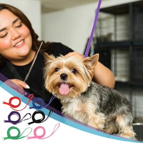 Hypeety Bulk Pack Slip Dog Leash Small Dog Pet Kennel Grooming Lead, 6pcs - color: 6pcs
