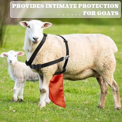 Goat Apron Anti Breeding, Adjustable Sheep Skirt Control Harness for Livestock, Anti Mating Protector for Goats Rams Sheep, Durable Farm Breeding Control Gear for Pasture Livestock Management