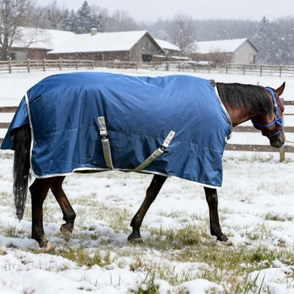 Winter 1200D Premium Turnout Horse Blanket,Medium Weight Waterproof Blanket - size: Back Length 81 inches ( 155cm ) no cover