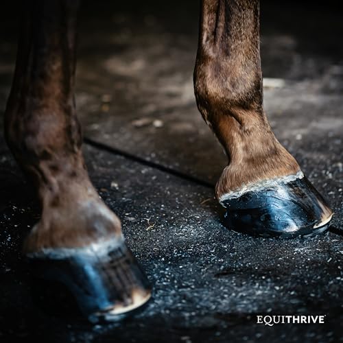 Equithrive Hoof Care Pellets Horse Supplement, 3.3 lbs - size: 3.3 lbs