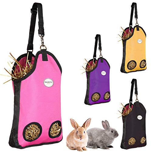 Majestic Ally Guinea Pig Hay Feeder – Rabbit Hay Feeder – Strong Nylon Wire Mesh Ventilated Feeder for Small Animals – 4 Lovely Colors and 2 Sizes– Easy to Use (2 Holes 16" x 10" x 3", Pink) - color: Pink, size: 2 Holes 16" x 10" x 3"