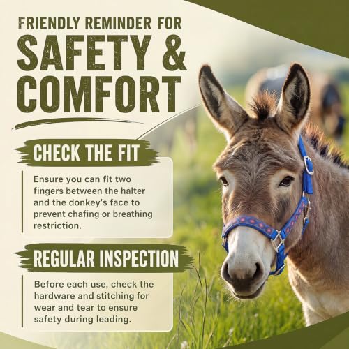 Miniature Donkey Halter, Adjustable Nylon Pony Halter with 3 Adjustable Buckles, Lightweight Small Equine for Farm Mini Horses Training, Blue, No Lead Rope Included