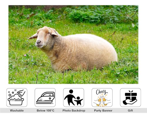5x3ft Fabric Resting Wool Sheep Backdrop Lush Green Wildflower Meadow Soft Natural Light Farm Animal Photography Background Tapestry Country Farm Decorations Photo Booth Props - size: 5x3ft