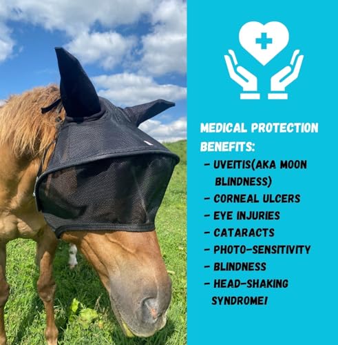 Solar Vizor Horse Fly Mask with Ears (Size COB), 100% UV Eye Protection for Horses with Uveitis, Photosensitivity, Ulcer, Head Shaking, Solid Durable EVA Lining Across The top Half of The Solar Vizor - size: COB