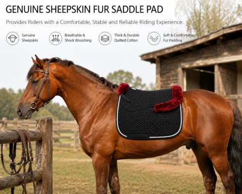 Woolous Dressage Saddle Pad, English Saddle Pad with Sheepskin Trim, Lambskin Wool Fleece Lining, Square Saddle Pad for Equestrian Riding, Comfortable & Shock Absorbing - color: Black/Red