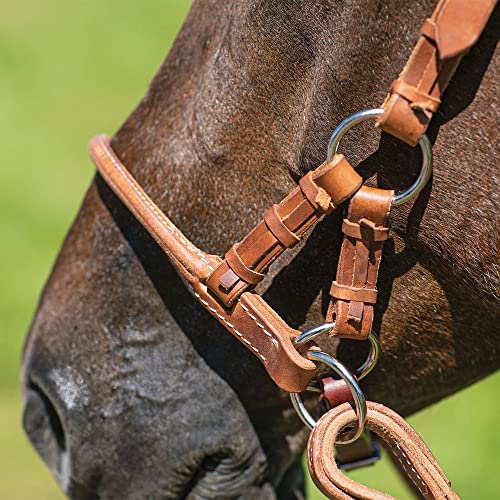 Schneiders Rolled Leather Nose Side Pull | Bitless Training Aid | Ideal for Non-Bit Ready Horses | Hand-Rubbed Heavyweight Harness Leather | Adjustable for Comfort | Equestrian Essential