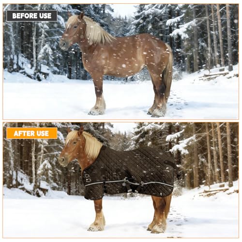 48in Pony/Mini Horse/Foal/Miniature Horse Blanket, 200g