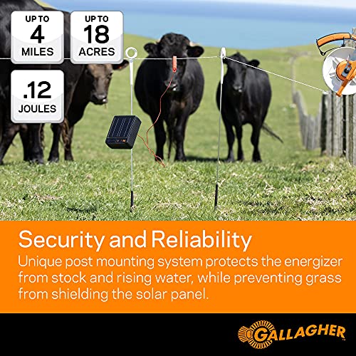 Gallagher S12 Solar Energizer and 1312' Poly Wire Electric Fence Kit for Livestock, Gardens, Orchards, Pets, and More