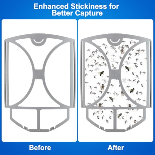 Flying Insect Trap for Fruit Flies,Gnats,1 Devices & 3 Refills | Plug-in UV Light for House flies, Silent Sticky Catcher for Indoor Use