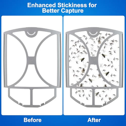 Flying Insect Trap for Fruit Flies,Gnats,1 Devices & 3 Refills | Plug-in UV Light for House flies, Silent Sticky Catcher for Indoor Use