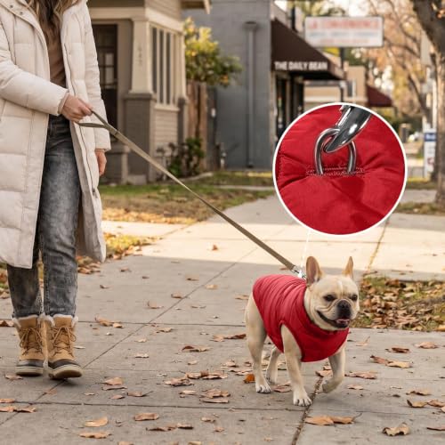 JoyDaog Fleece Lined Dog Jacket for Small Dogs,Winter Dog Coat,Red S - color: Red, size: Small