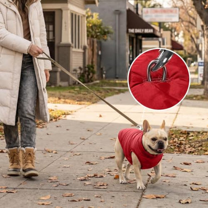 JoyDaog Fleece Lined Dog Jacket for Small Dogs,Winter Dog Coat,Red S - color: Red, size: Small