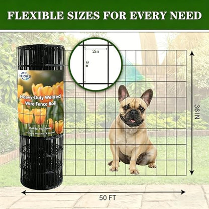 Black PVC Coated Welded Wire Fencing 36” x 50’ Roll 2”x3” 16G Garden Fence | TUOKS Chicken Wire Fencing Roll Vinyl Coating Metal Wire Mesh for Yard Vegetable Plant Protection Poultry Netting - size: 2"x3" 16GA 36＂ x 50＇
