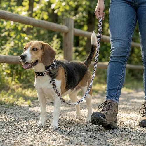 Tuff Pupper Premium Adjustable Dog Collar for Small Boy & Girl Dogs, Stylish Pattern Collars Designed in USA, Quick Release Buckle, NativePath Print, Small (0.7 Inch Wide x 8-12 Inch Neck) - color: NativePath, size: Small