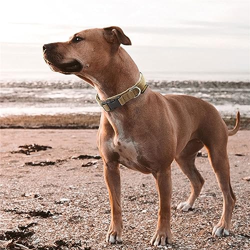 EXCELLENT ELITE SPANKER Military Nylon Small Puppy Dog Collar with Padded - color: Grey, size: S-(13.4"-17.7")
