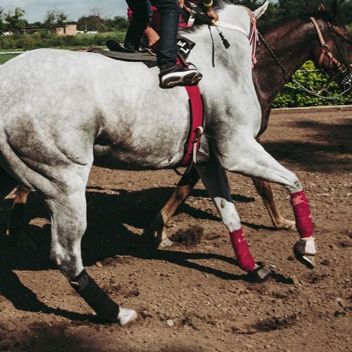 Horse Polo Wraps 2.5m Equestrian Leg Bandage Wrap Set of 4 Packs - color: Red - 2.5m
