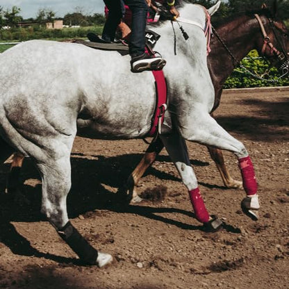 Horse Polo Wraps 2.5m Equestrian Leg Bandage Wrap Set of 4 Packs - color: Red - 2.5m